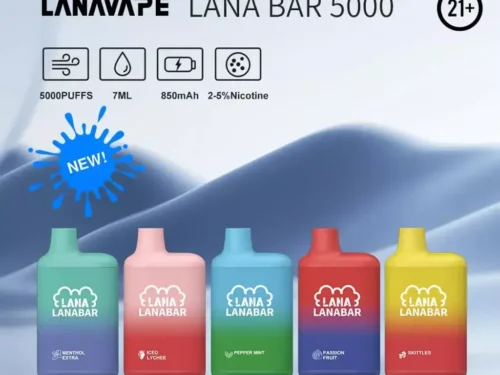 LANA拉納三代拋棄式 / 5000口可充電 / 最涼的牌子