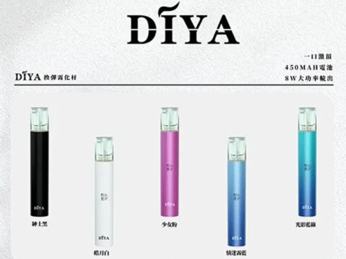DIYA叮啞主機通用一代主機CP值超高